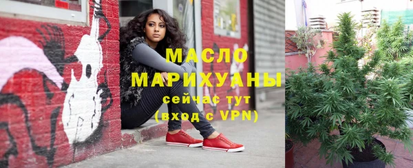 крисы Армянск