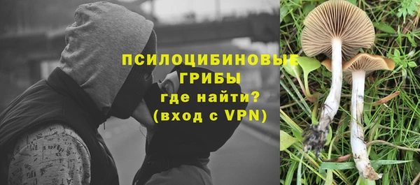 мескалин Аркадак