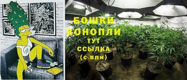 крисы Армянск
