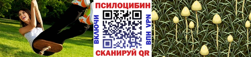 Галлюциногенные грибы прущие грибы  дарнет шоп  Тимашёвск 
